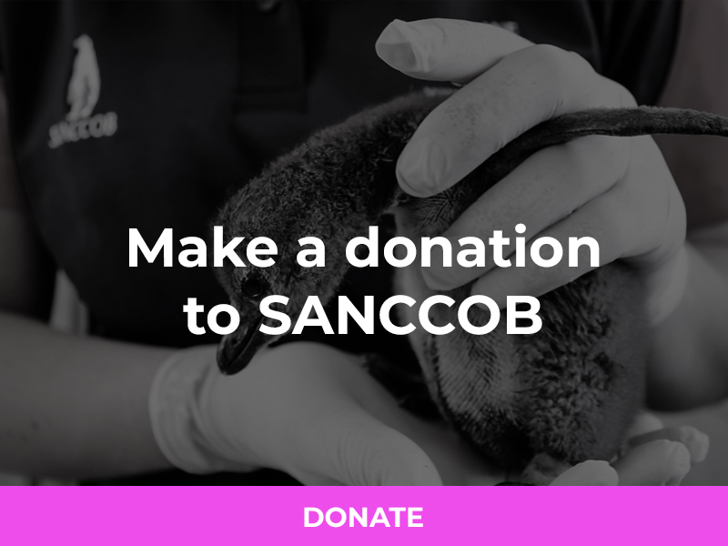 Donate to Sanccob